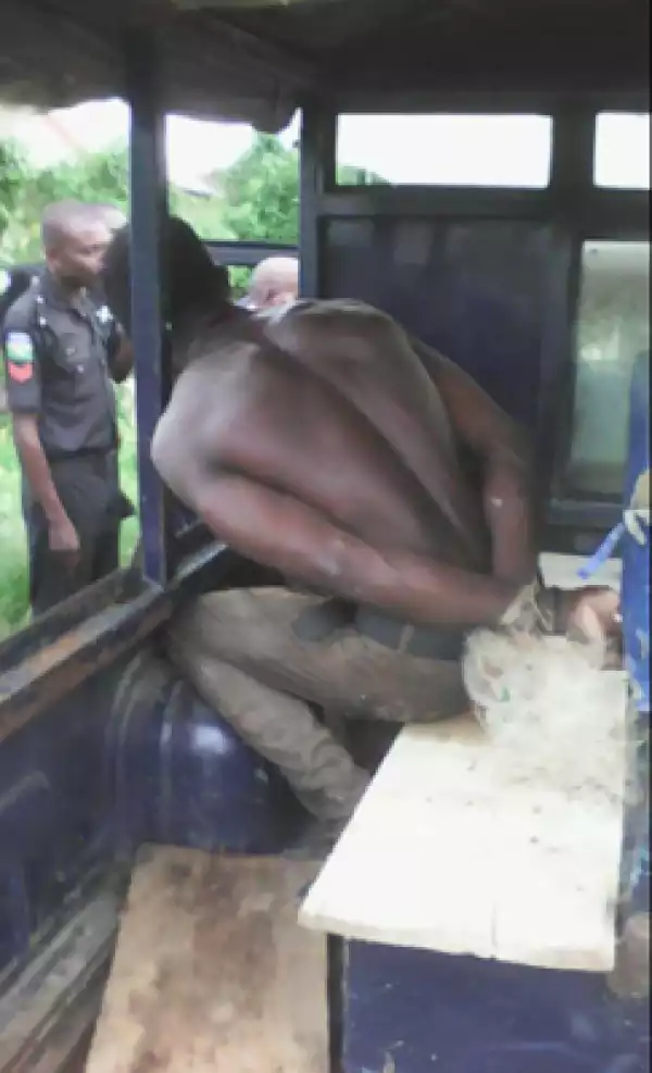 Plantain thief caught and tied with a rope in Bayelsa state (photos)